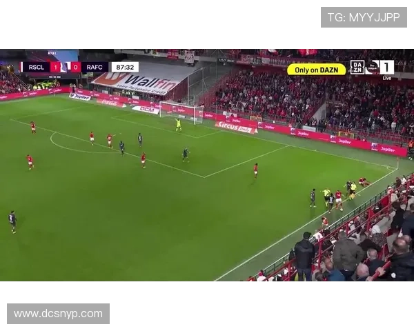 比甲比赛第87分钟因球迷投掷水杯击中主裁判遭中止引发热议